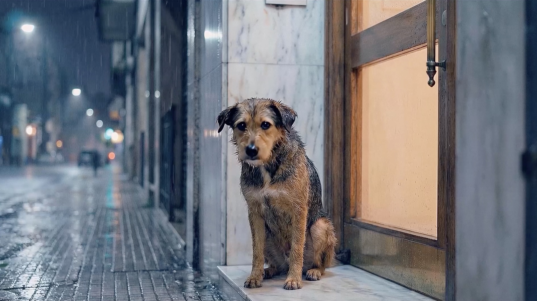 Best Friend Animal Society